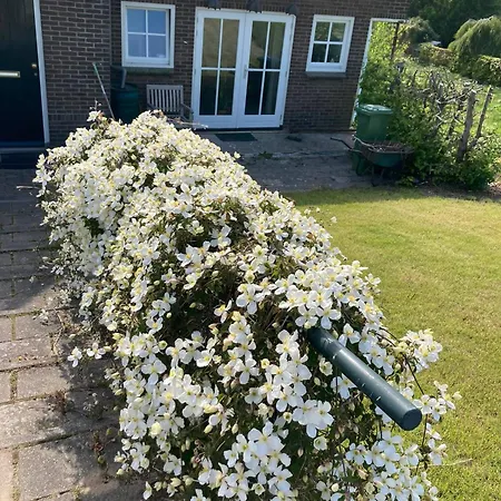 Gasthuis De Sleeuwijkerwaard