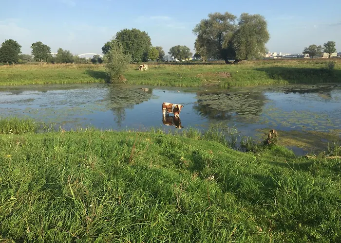 De Sleeuwijkerwaard 3* Sleeuwijk