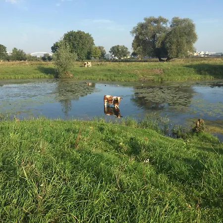 De Sleeuwijkerwaard 3* Sleeuwijk